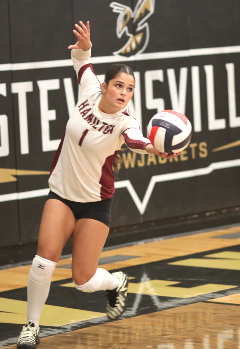Hamilton volleyball defeats Stevensville