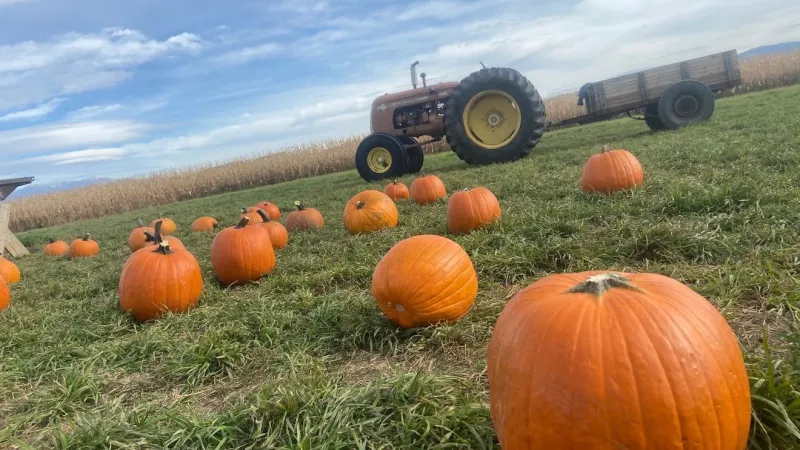 More Montana pumpkin patches, corn mazes open this weekend