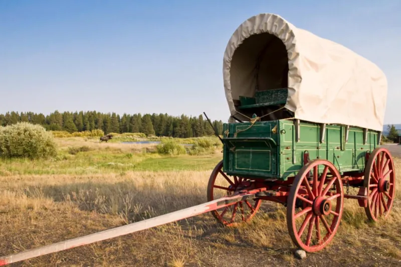 Furs Forts Mule Trains & Pondera County In The Spotlight On Saturday Sports Trivia!