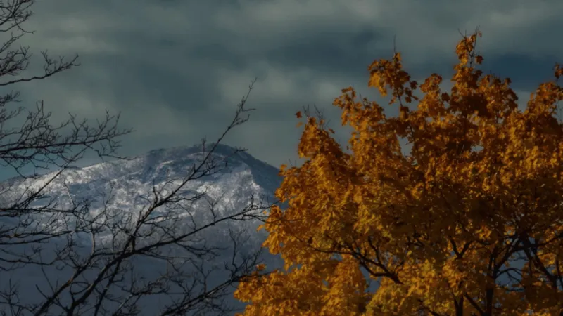 Strong El Nino could shape Western Montana's fall, winter outlook