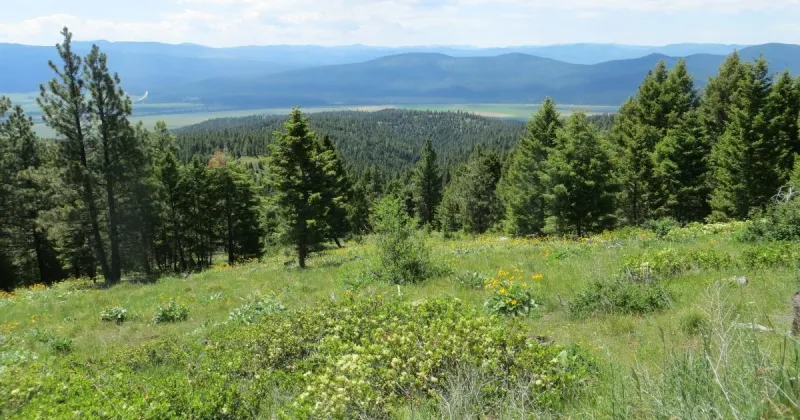 Judge nixes Blackfoot Clearwater gravel pit permit