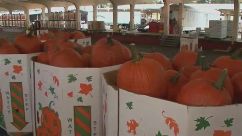 Poverello Center kicks off 10th annual pumpkin fundraiser