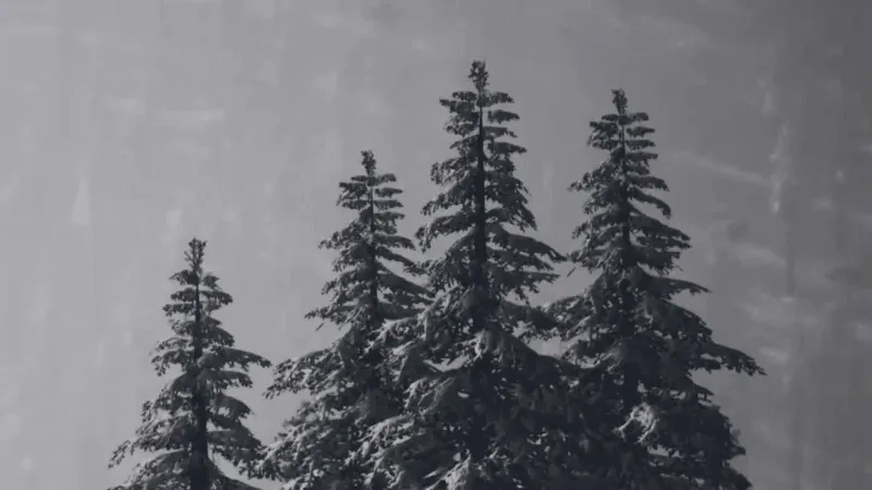 NBC MT Today: Seasonal affective disorder, flu shot clinics, warm & dry