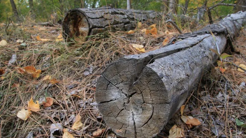 Montana Fire Season Fades; Here's Where Drought Continues