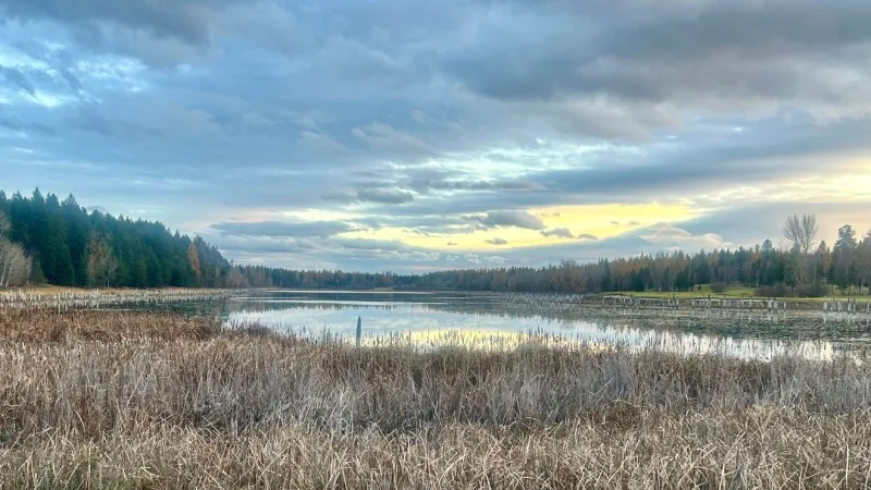Light showers today, warmer and drier weather ahead