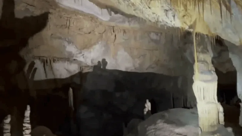 NBC MT Today: Election 2026, new clinic opens, volunteers sought for caverns clean up