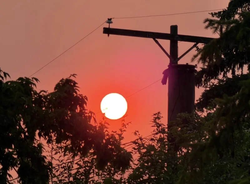 Viewpoint: Speak up for energy efficiency and renewable energy