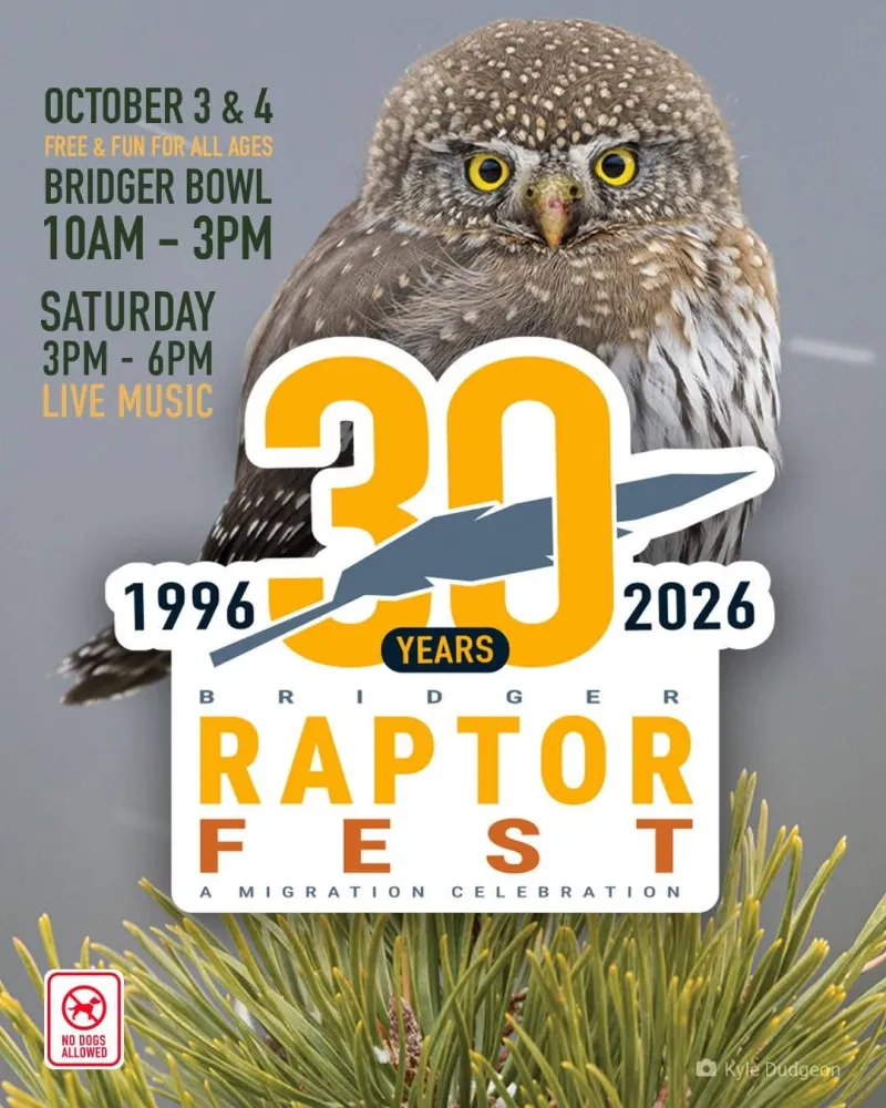 Return of Raptors signal fall's onset
