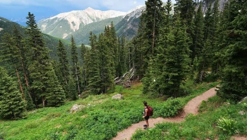 Judge blocks 'Free Land Holders' from fencing off national forest