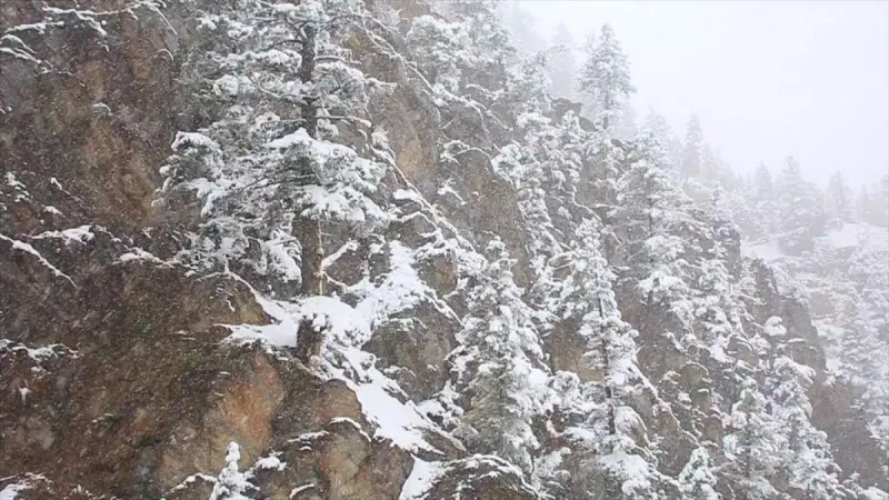 This Week Could Preview Montana's Winter