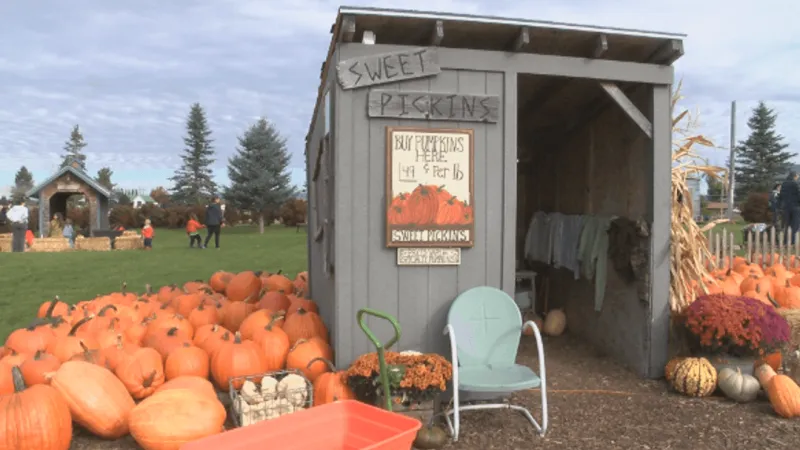 Kalispell pumpkin patch welcomes fall visitors