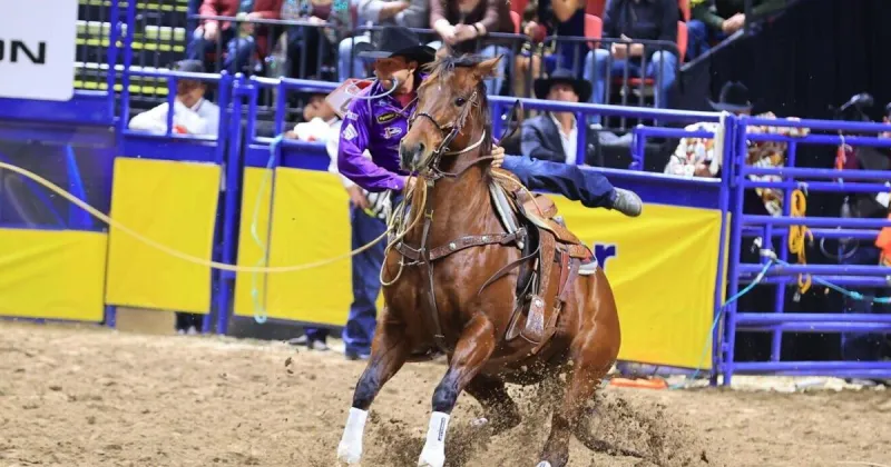 2026 Wrangler National Finals Rodeo go-round payoffs adjusted