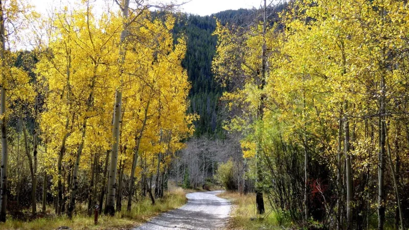 SLIDESHOW: Beautiful sunsets, sunrises and autumn colors paint Montana