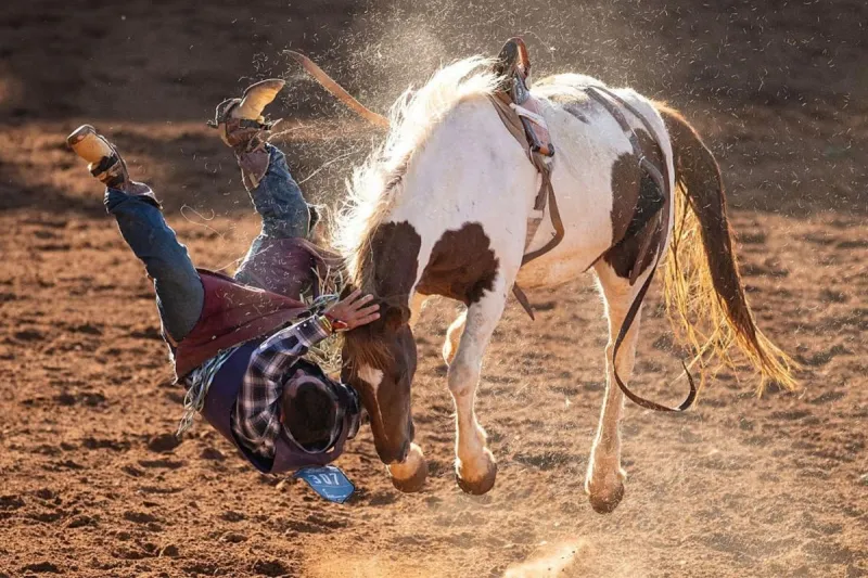 The Riggin Masters Come to Billings in October: Win Tickets Here