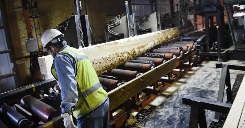 'It's a loss': Clancy's family-run Marks Lumber sawmill to close in 2027