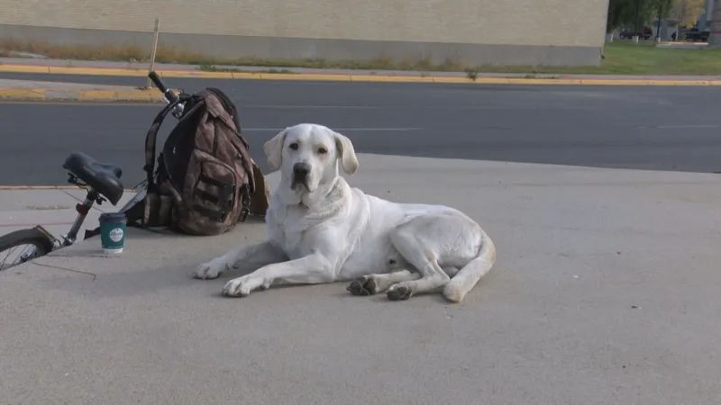 Butte shelter director participating in "Conversation on a Bench"