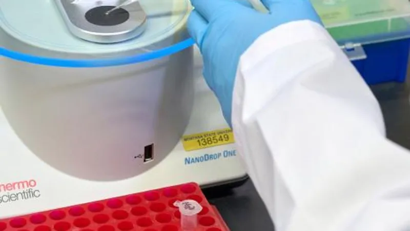 New grant to help low-income STEM majors at UM, MSU