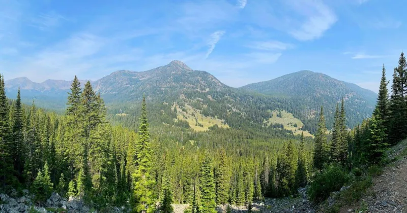 Forest Service announces purchase of 572-acre inholding in Tobacco Roots