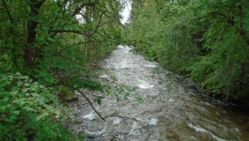$100,000 FWP Grant to Missoula's Rattlesnake Reservoir Park Preserve