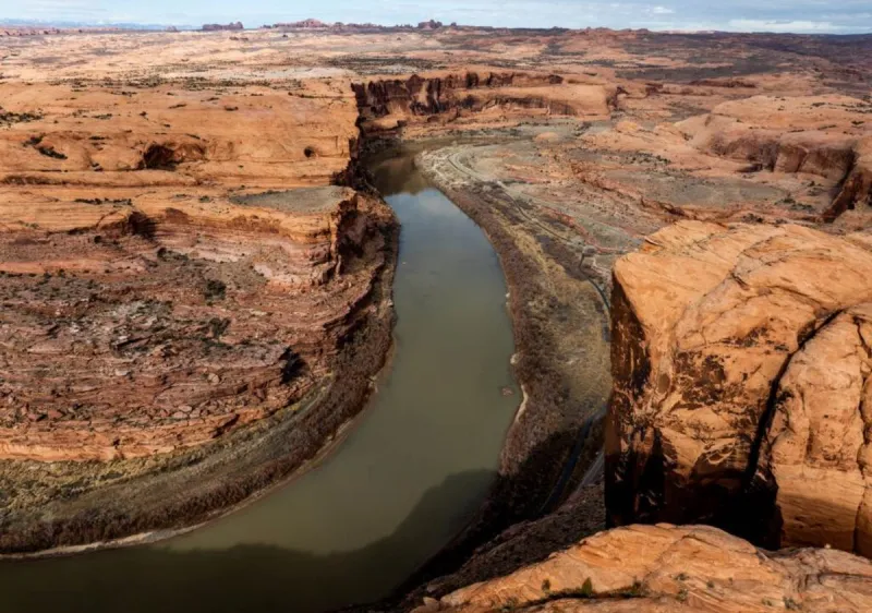 Invasive zebra mussels found in Utah portion of Colorado River