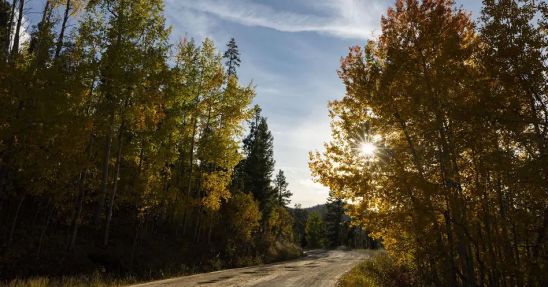 Everything you need to know about fall festivities in southwest Montana