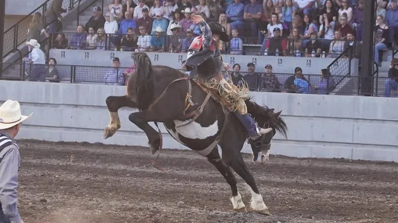 Montana Western Men's Rodeo Wins Team Title at Dickinson State Rodeo