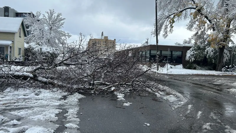 Snow causes power outages, downed trees across Montanans