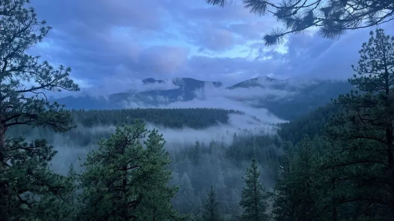 Chilly mornings with patchy fog, Dense Fog Advisory; late week warming trend