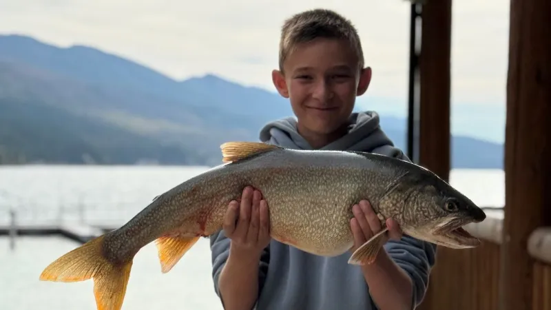 More than 13,500 lake trout caught during Fall Mack Days on Flathead Lake