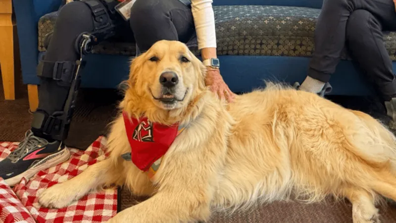 Bozeman children build reading confidence with help from therapy dogs