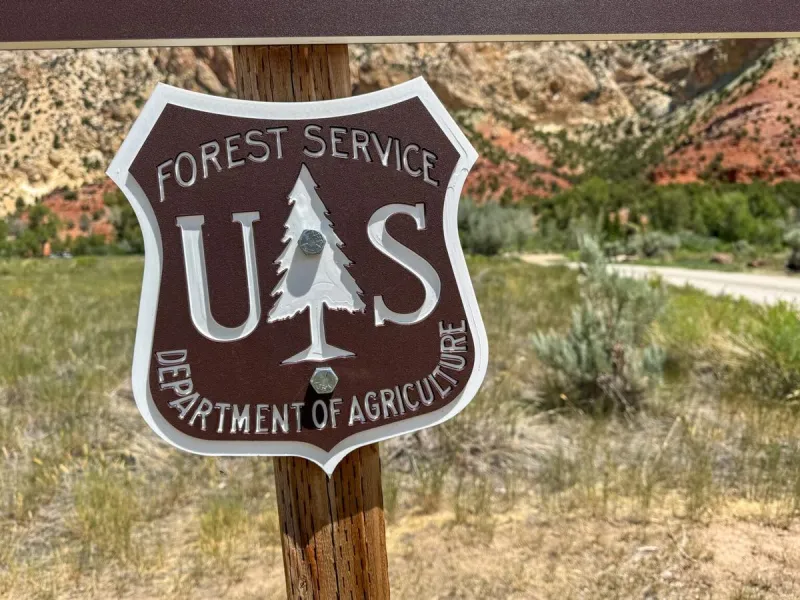 Court blocks Trump from moving USFS headquarters to Utah