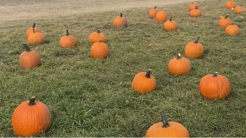 Halloween thrills and fall festivals highlight weekend fun in southwestern Montana