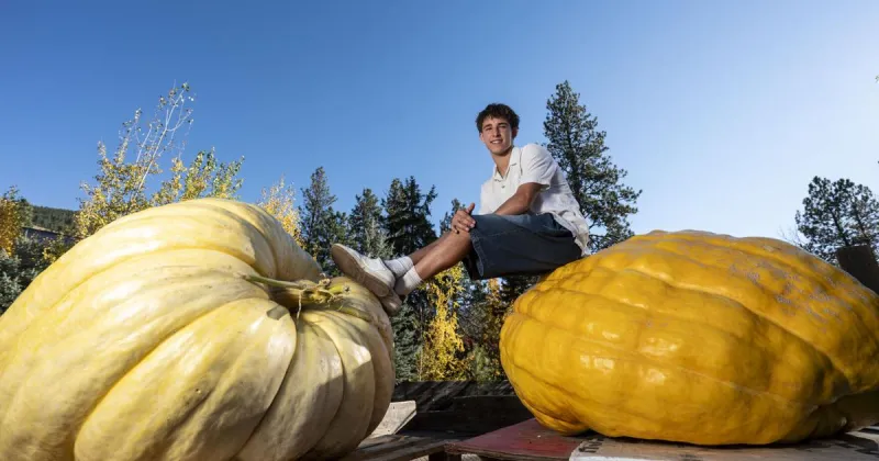 Pumpkins for the Pov: Missoula teen grows giant gourd for guessing game fundraiser