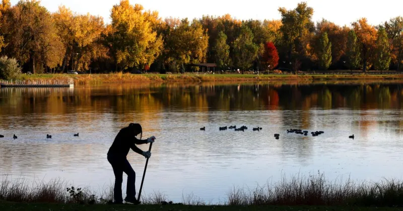 Photos: invasive brush removed from Riverfront Park