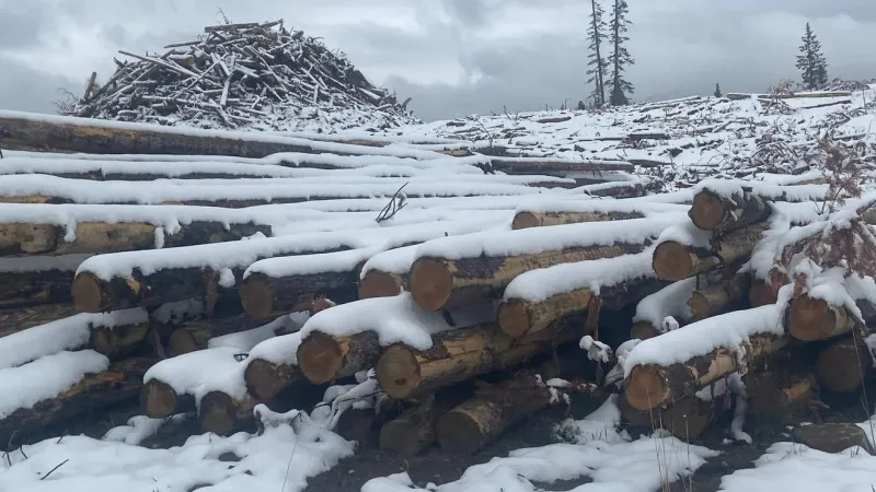 Flathead National Forest approves 2,307-acre wildfire mitigation project near Condon
