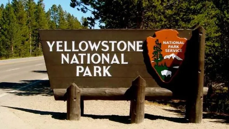 Yellowstone National Park receives historic $105 million gift