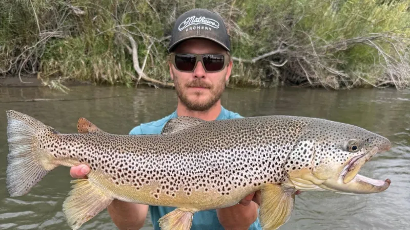 Idaho angler catches record-breaking brown trout
