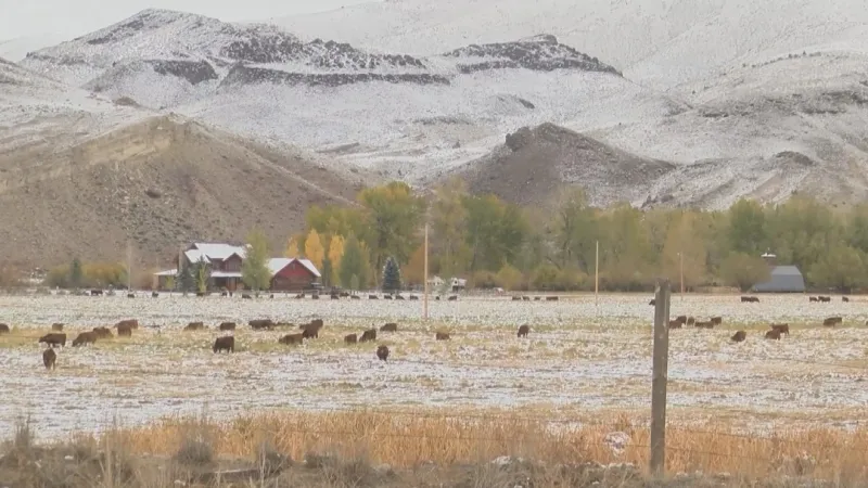 Montana Livestock Loss Board grant applications due Nov. 4