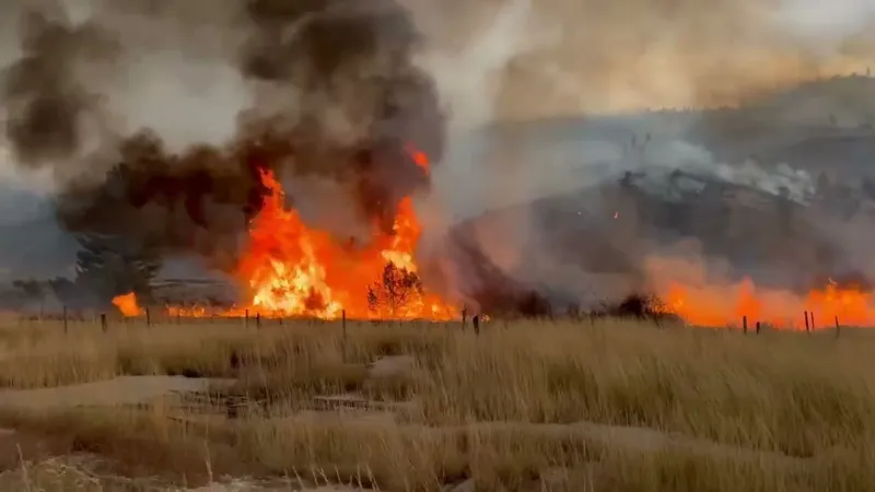Brass Fire near Hot Springs grows to 1,000 acres, 50% contained