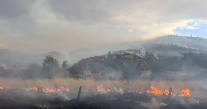 Wind whips up 500-acre grass fire near Hot Springs over the weekend