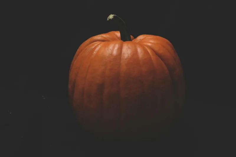 UM's Famous Pumpkin Is Back on Main Hall