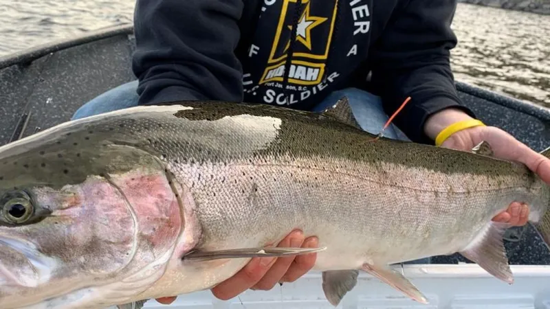 Idaho Fish and Game closes steelhead harvest in Clearwater River basin due to low returns