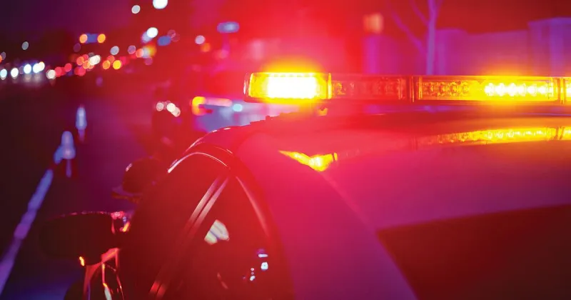 Worden pedestrian dead after being struck by truck on rural road