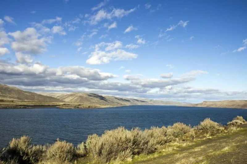 Trump renews battle over salmon, dams in Columbia River basin