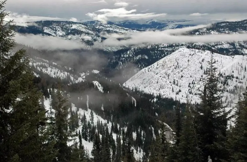 Montana, Idaho groups sue USFS over Great Burn wilderness