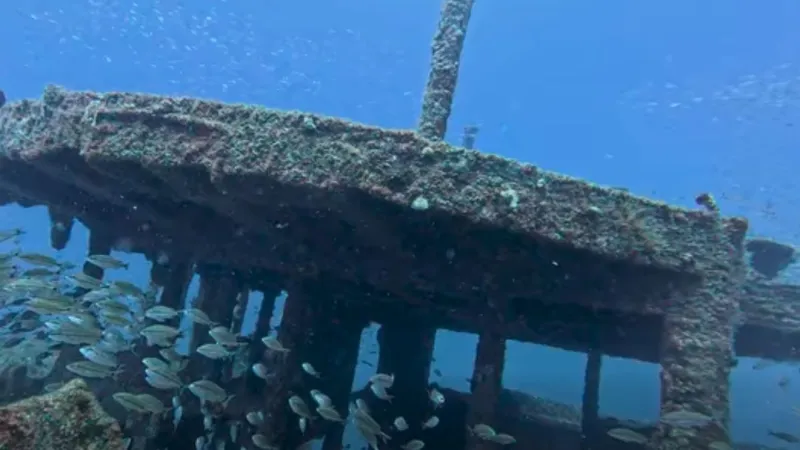 State spotlights AR-305 reef off Beaufort as premier fishing and diving destination
