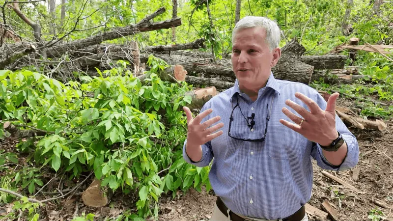 Gov. Stein signs 2 executive orders targeting prediction markets, military support efforts