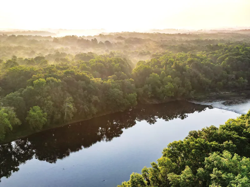 Campbell announces environmental reforestation plan for land along Cape Fear