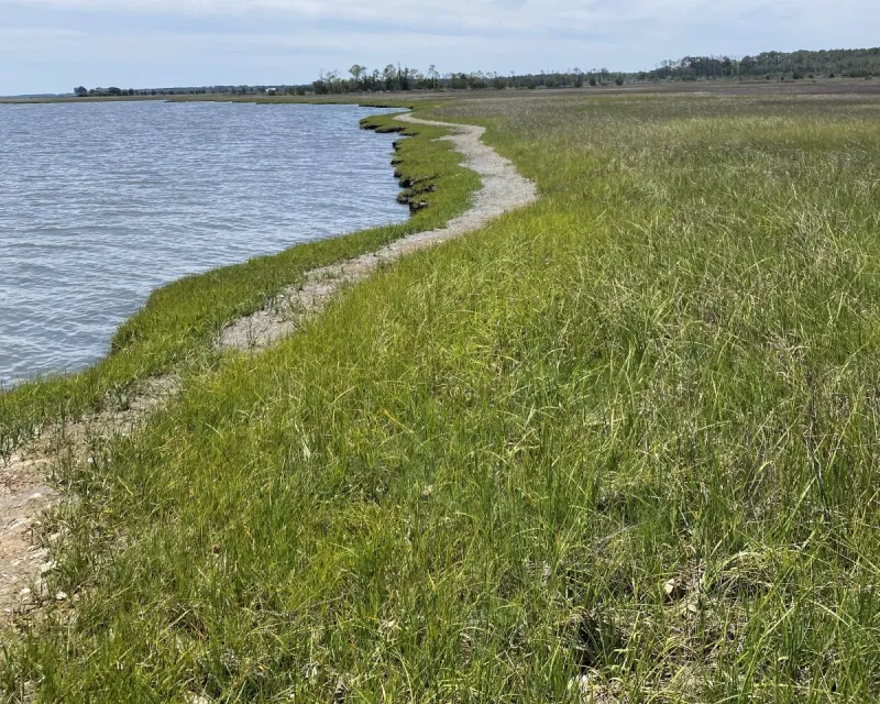Coastal Federation, The Conservation Fund protect 153 acres