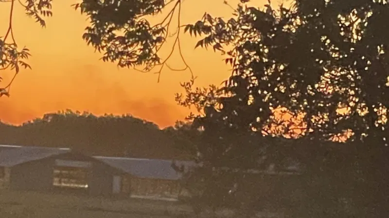 Brush fire burns approximately 80 acres near Kenansville